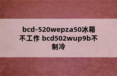 bcd-520wepza50冰箱不工作 bcd502wup9b不制冷